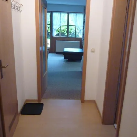Apartament Reichenbach - Bgm.-martin-str. 10/2 *